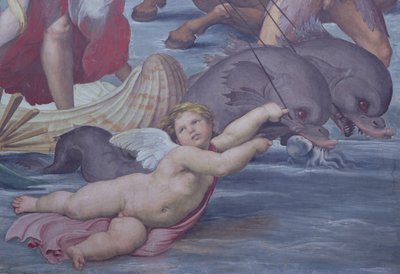 Galatea, dettaglio di putto e delfini (dettaglio) da Raffaello Sanzio Raphael